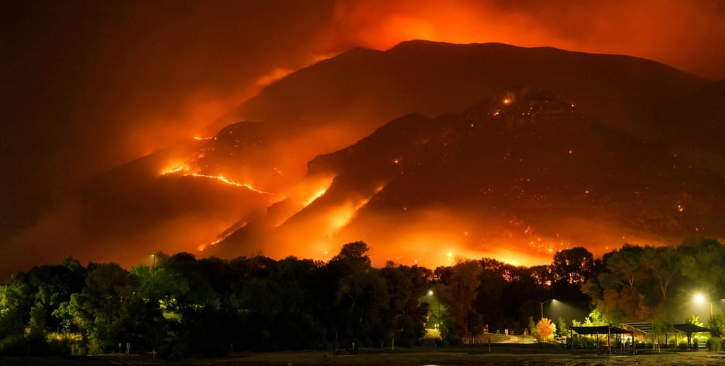 the image of wildfire
