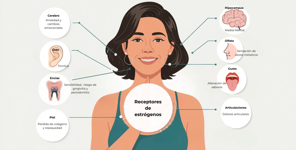 Receptores de estrógenos
