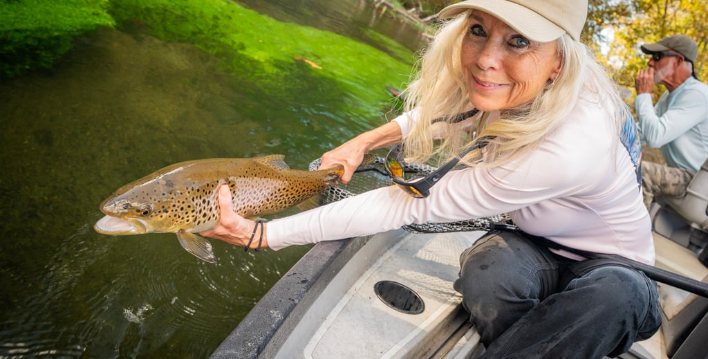 Fly Fishing the South Holston River