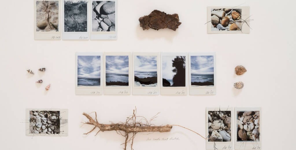 The Australian Journey (Native Grounds) 47, 2025 ©Regina Anzenberger