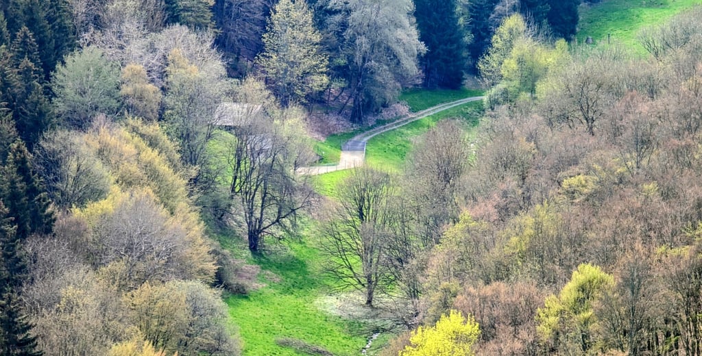 Hattsteinwiesen im Frühling
