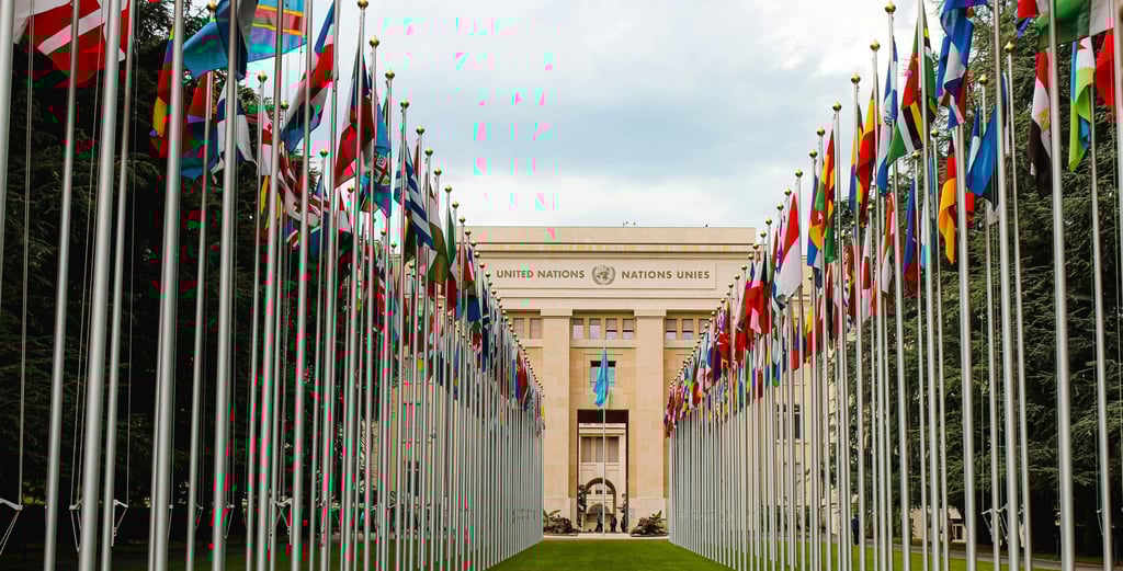 A row of international flags lining the pathway to the United Nations Palais des Nations building in Geneva.