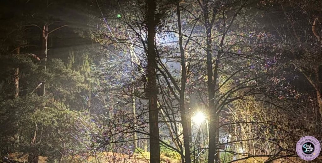 How to do shadow work Soul Sisters Tarot