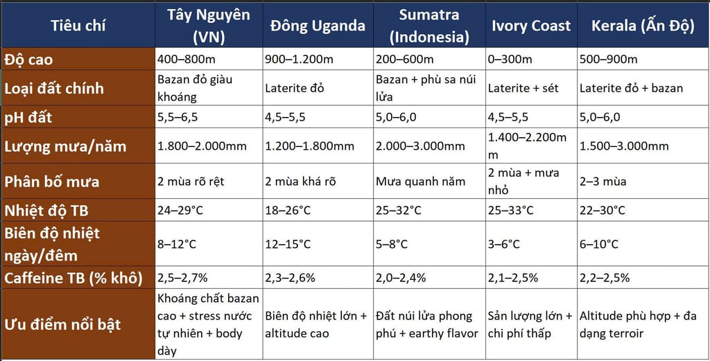 Bảng so sánh terroir Tây Nguyên vs 4 vùng Robusta lớn trên thế giới
