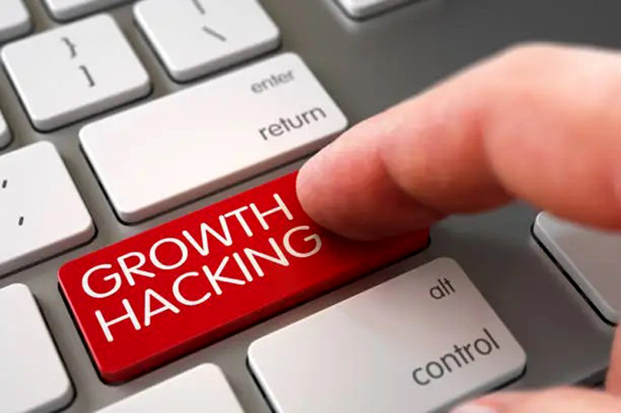 Growth Hacking Técnicas para Crecer Rápido y Sostenible.