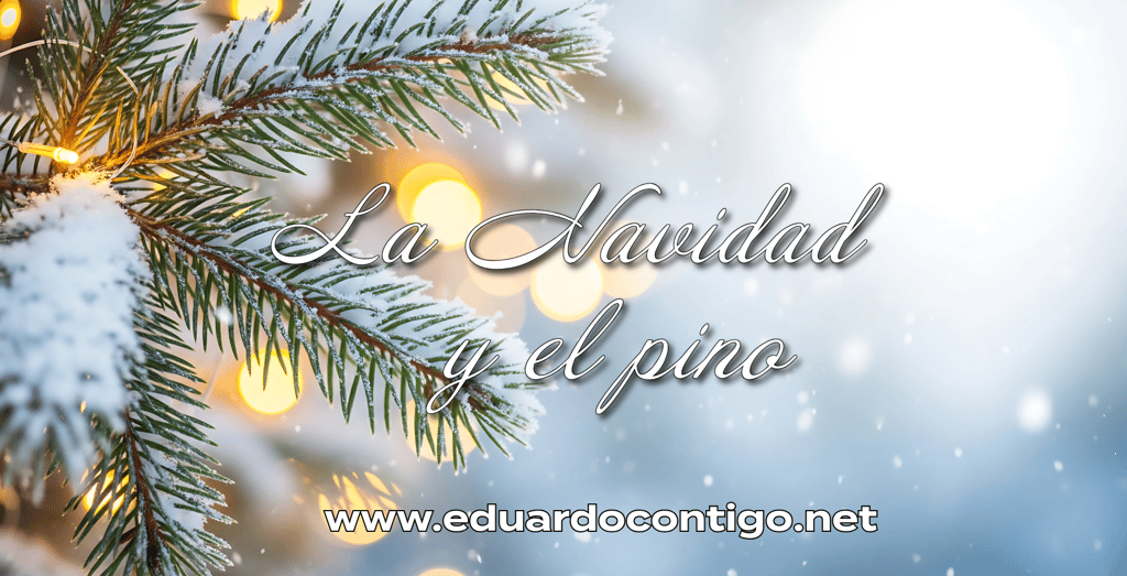 La navidad y el pino - Reflexiones Eduardo Contigo