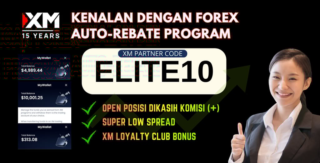 apa itu forex auto rebate program