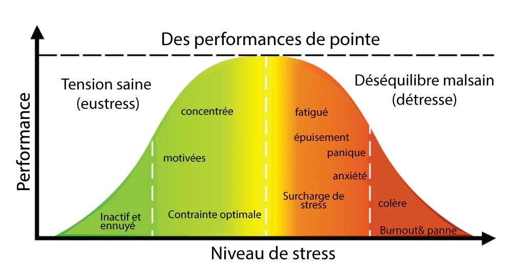 courbe yerkes dodson stress performance dans le sport 