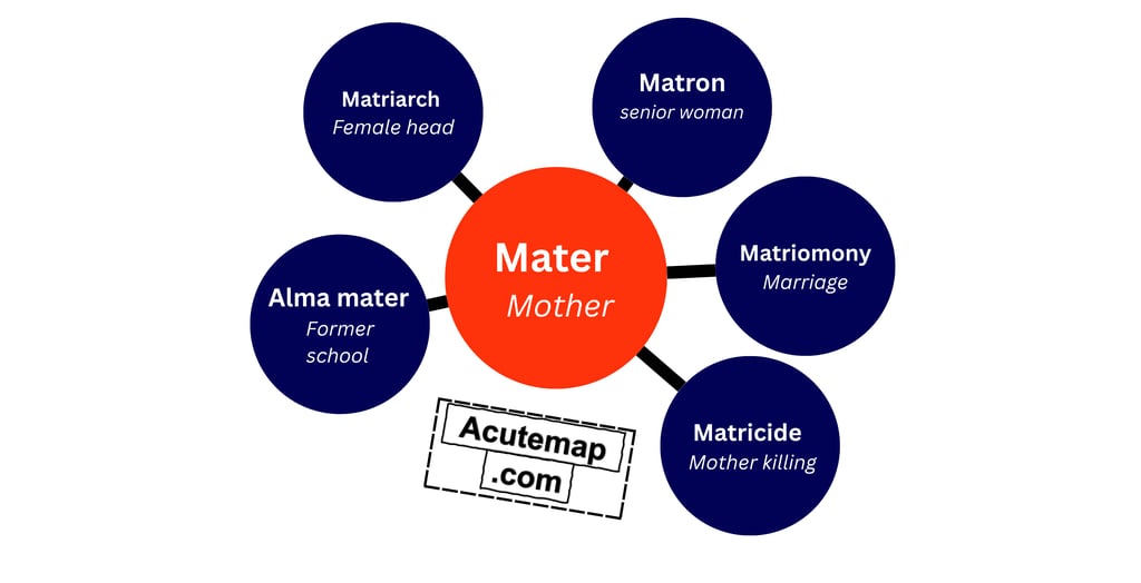 Root word vocabulary Mater for SSC UPSC 