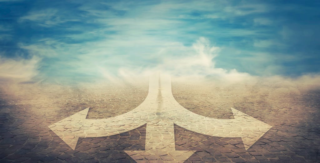 Visual representation of school choice options