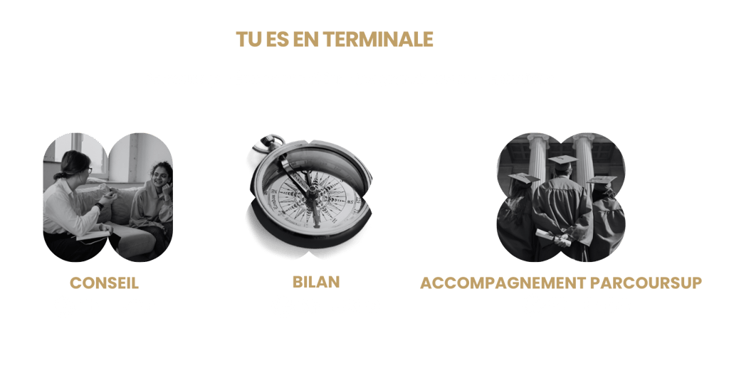 prestation pour la terminale parcoursup bilan