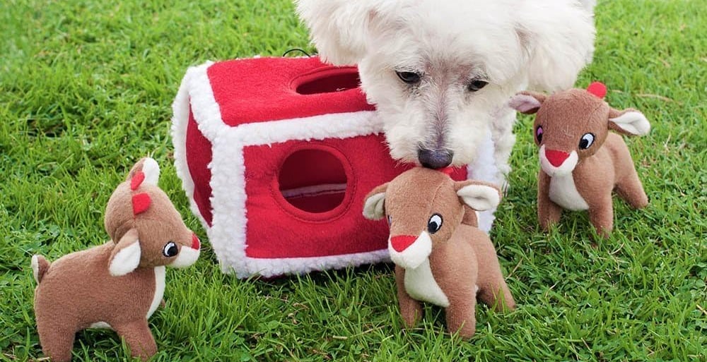 a dog is playing with a toy reindeers