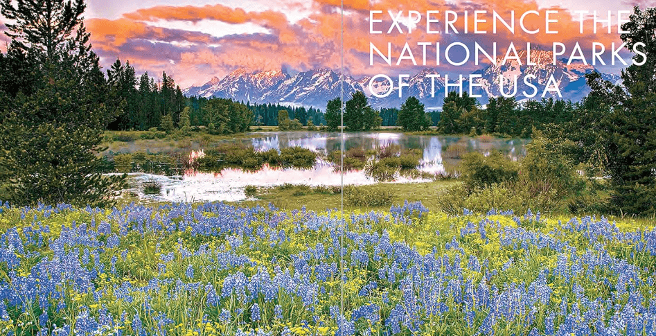 Wildflowers with a Grand Tetons background by a water backdrop