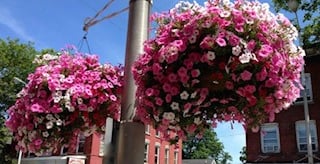 Street baskets in Beacon, NY