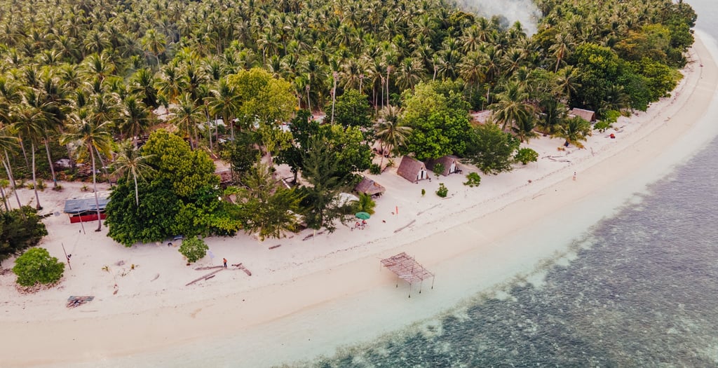 a beach with a small island and palm trees