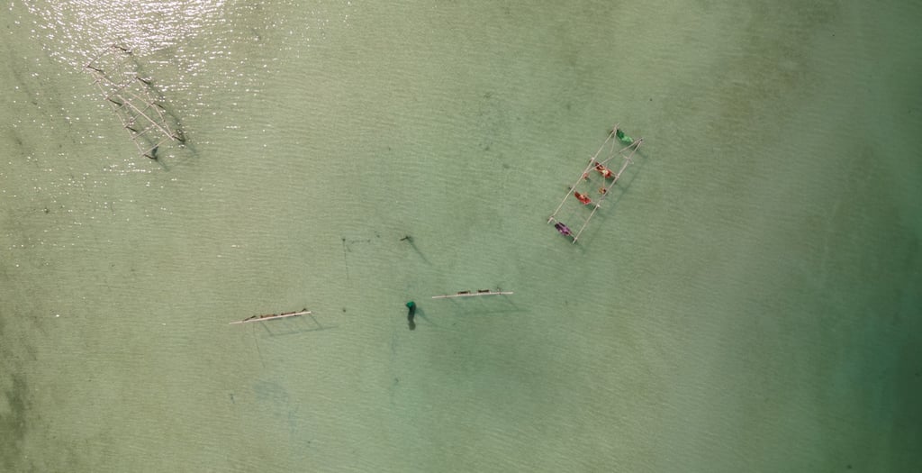 a group of people are rowing on the water