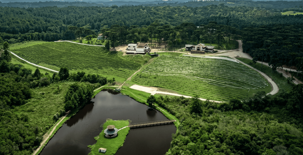 imagem aerea da vinicola araucaria