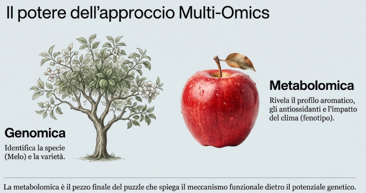 Multi Omics Dalla Genomica alla Metabolomica