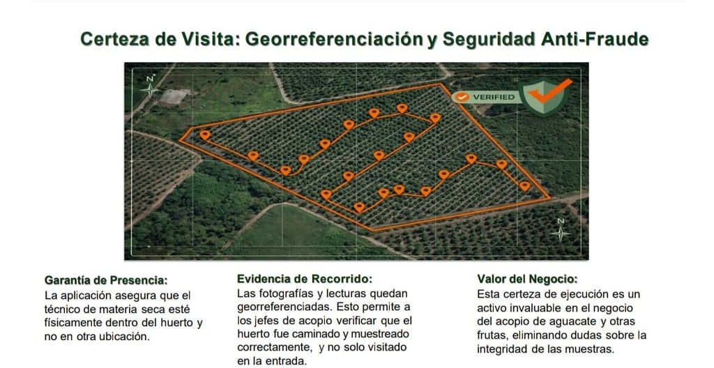 geolocalizacion