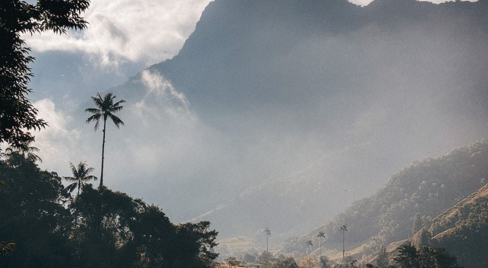 Cocora Valley Hike in Colombia, South America