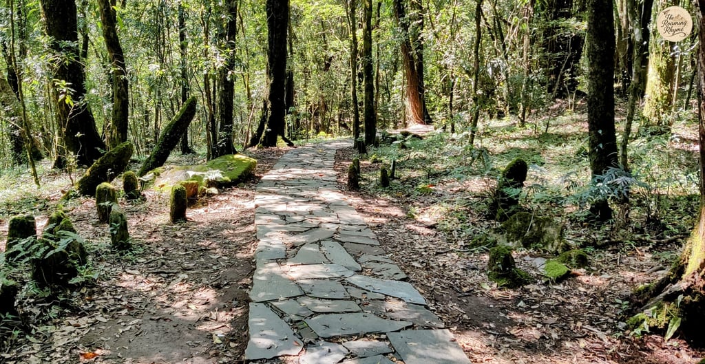 Sacred stones and shaded paths - monoliths of Mawphlang Sacred Forest.
