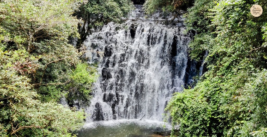 At the first tier of Elephant Falls - Shillong's cascading charm.
