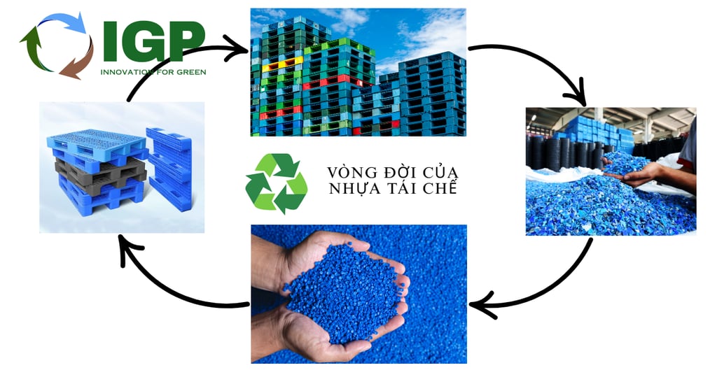Quy trình tái chế pallet nhựa