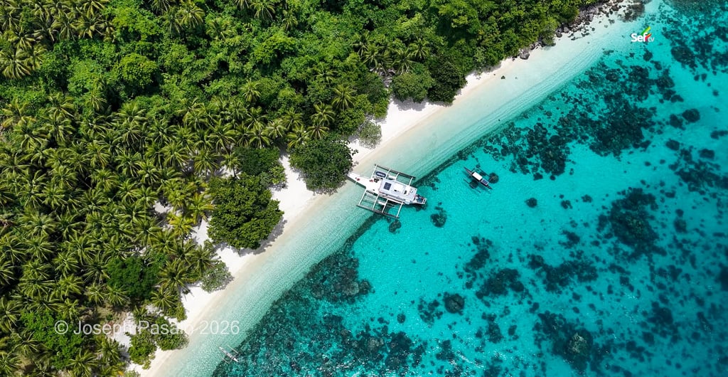 Aerial View of Pink Sand Beach