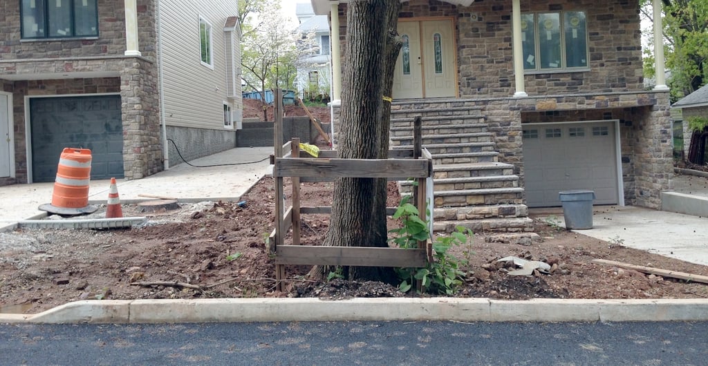 a tree with its roots destroyed by construction activity