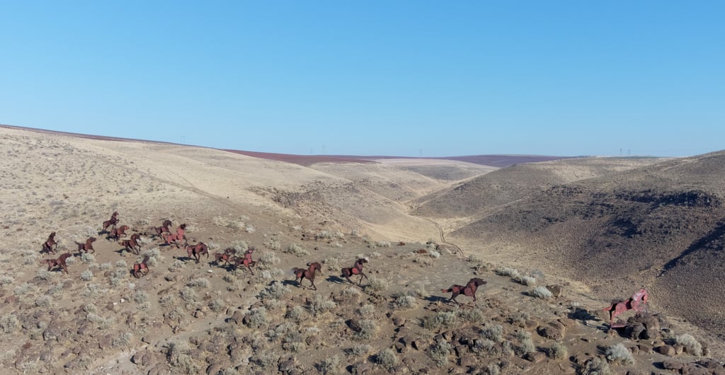 inland northwest droning aerial photos