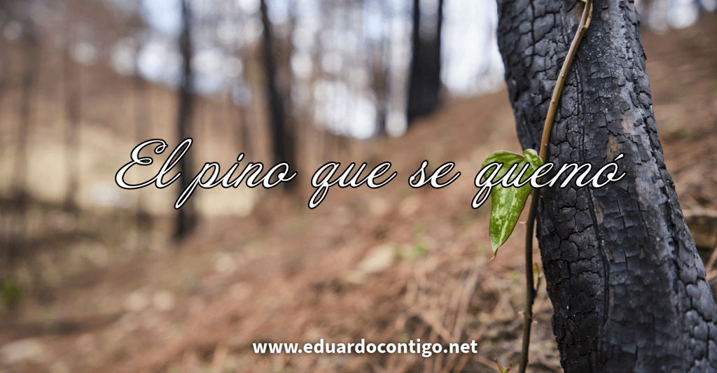 REFLEXIONES EDUARDO CONTIGO