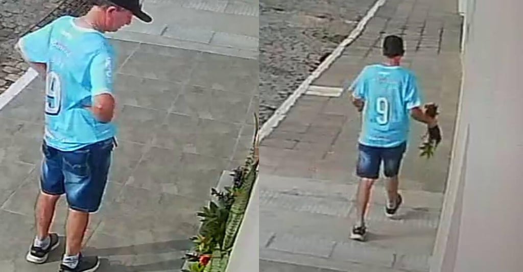 Câmera de segurança flagra homem furtando flor em Camaquã