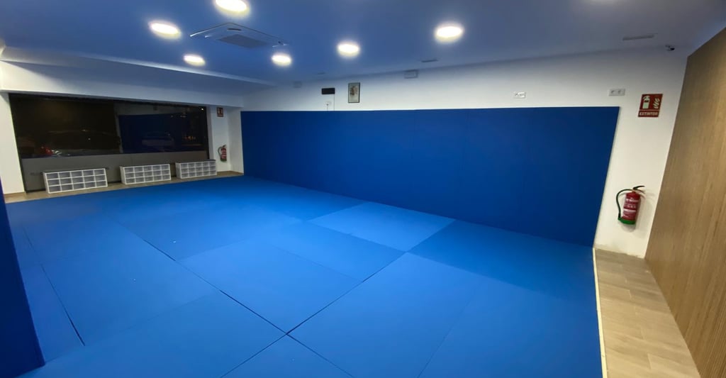 Tatami 2 de Gracie Barra Bormujos