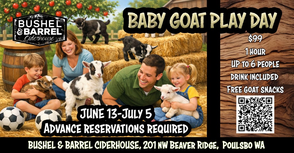 Family playing with baby goats at Bushel and Barrel Ciderhouse Baby Goat Play Day event in Poulsbo.