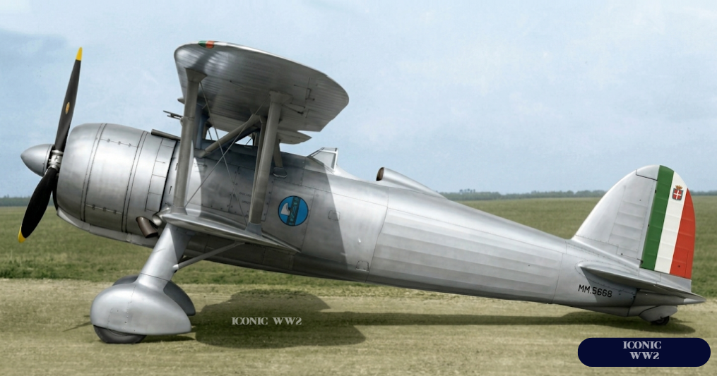 Fiat Cr42 Falco Prototype