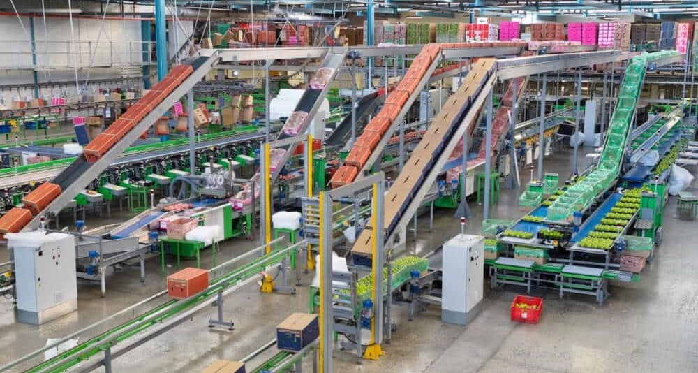 Warehouse Conveyor