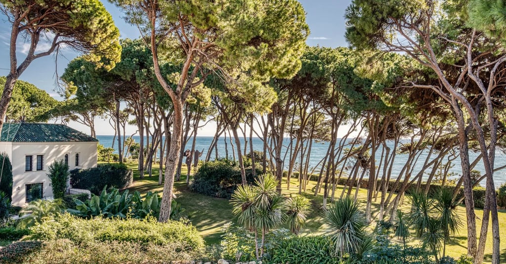 Private beachfront estate with manicured gardens and pine grove