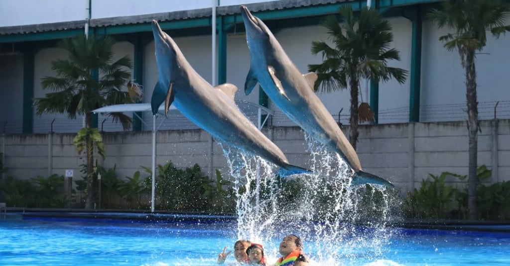Bali Exotic Marine Park