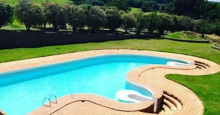 piscina bonita cercada de arvores