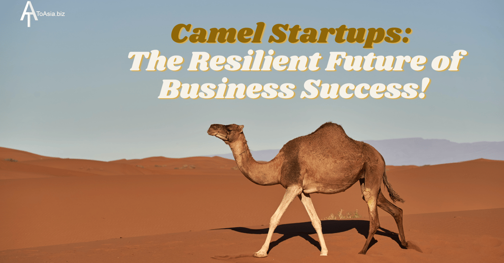 Camel Startups