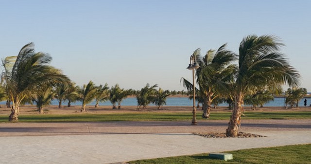 waterfront-industrial-yanbu