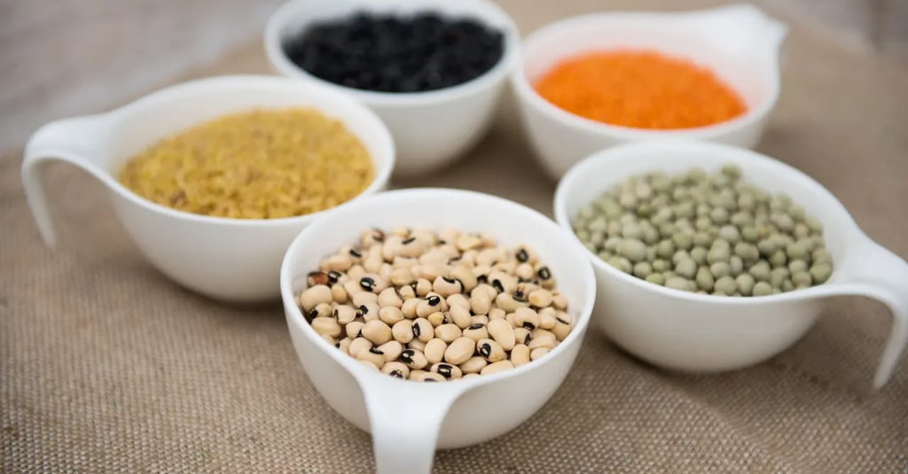 a variety of beans and beans in a row of four bowls. Lentils from Castelluccio di Norcia
