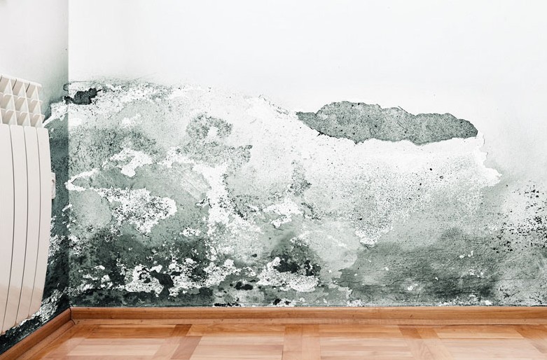 interior moisture damagr to wall, gradual damage, Independant insurance assessor