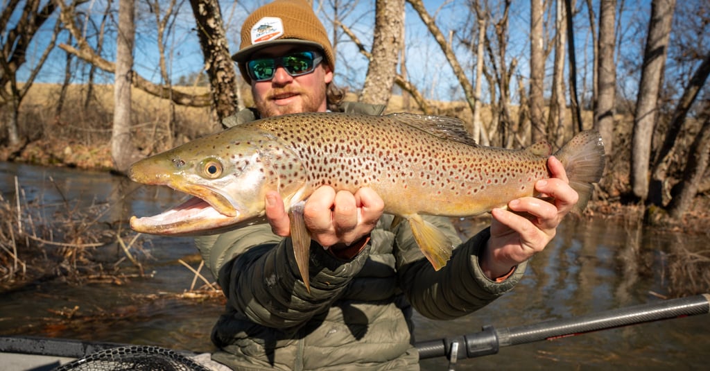 February Fishing Report on the South Holston River
