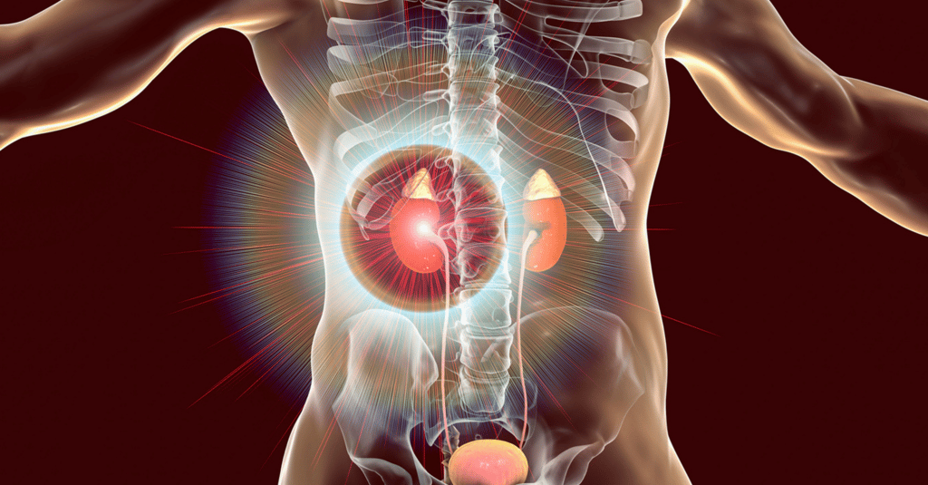 Vitamin D: Funktionen, Mangel-Symptome und sichere Supplementierung (D3 vs. D2)