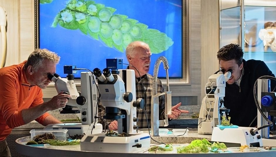 Scientists using high-powered microscopes to study plant specimens in a modern biology laboratory.
