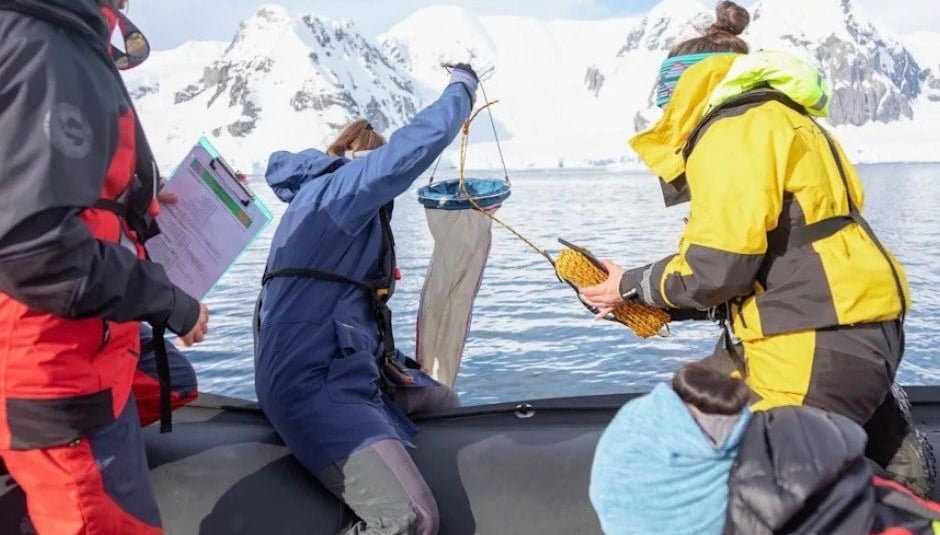 Researchers collect water samples using a plankton net from a boat in Antarctica's snowy mountains.