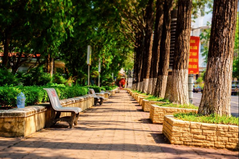 A quiet, sun-drenched sidewalk in Vietnam with empty park benches and trees, symbolizing the stillne