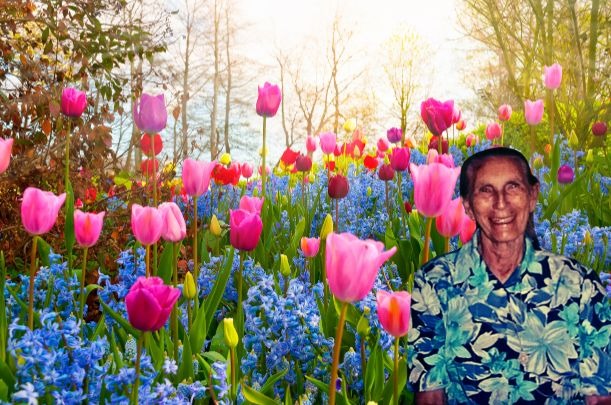 Homenagem a Maria Lira