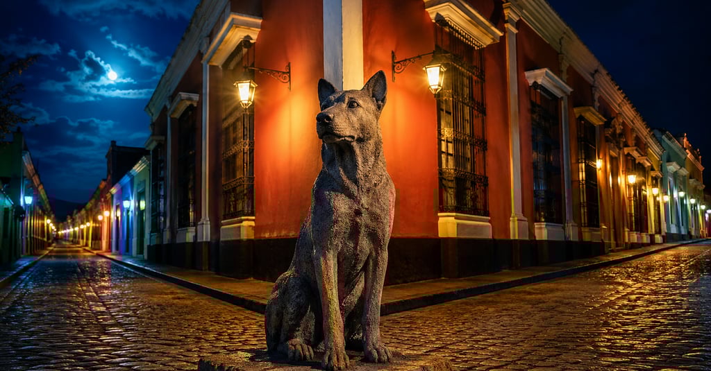 ATHEJOS El universo de Rosa